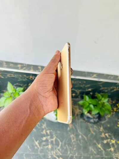 iphone 7 plus 128 GB all ok delivery available