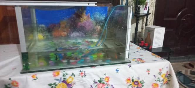 aquarium for sale