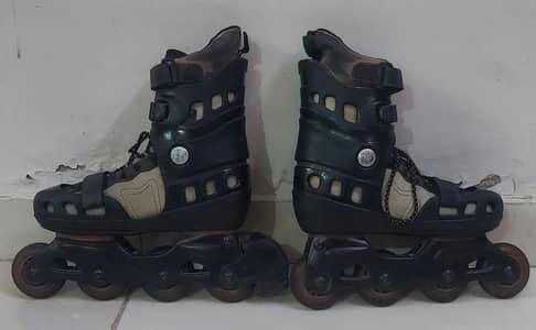 roller skates inline