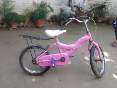 pink colour cycle  03214278983