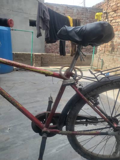 Haight speed very nice bicycle 