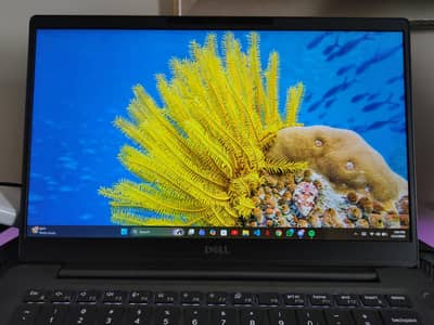 dell latitude 13 7300 i7 8th generation