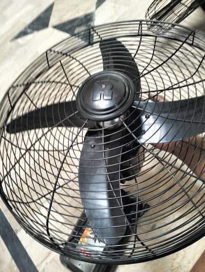 Royal Bracket fan