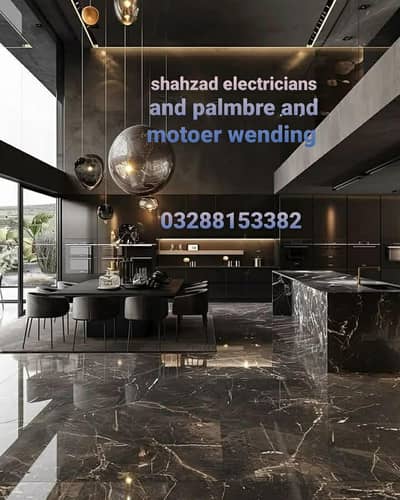 Working Electricians and palmber and motor wending