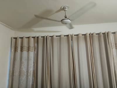 these LED is 42 inch a stand and new curtains for sale