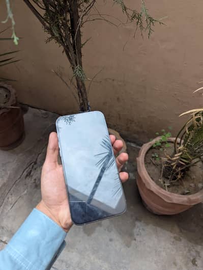 13 Pro Max (Pta Approved)