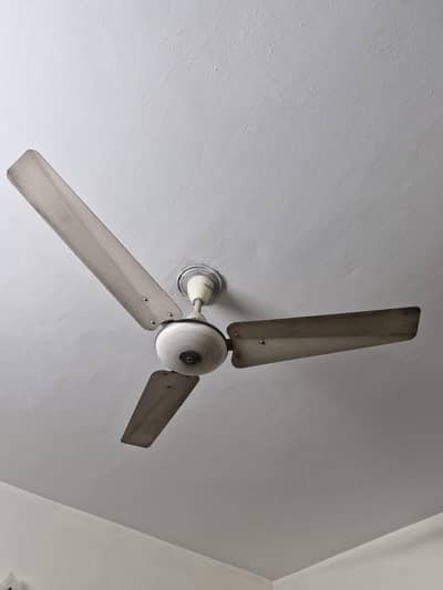 Pak Fans Fan for sale