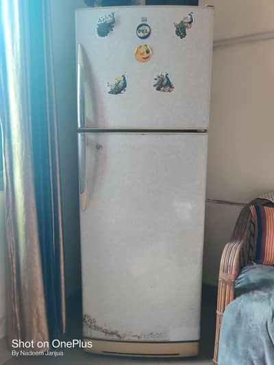 USED PEL REFRIGERATOR 6 QF
