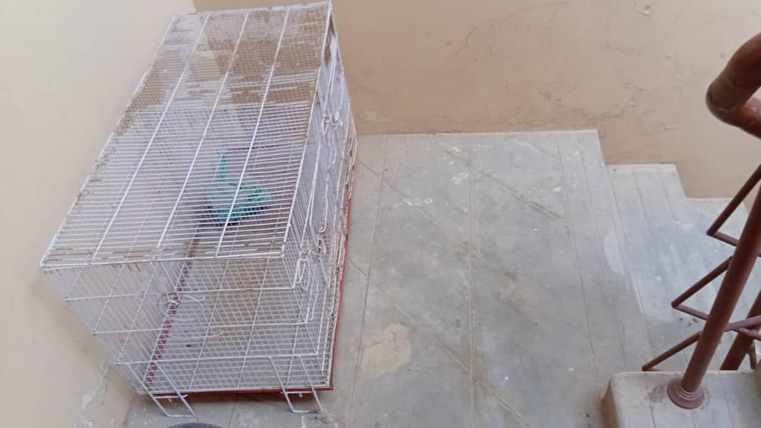 Solid Cages for sell 2