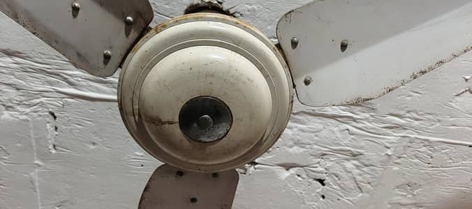 Ceiling fan billkul ok 10 by 10