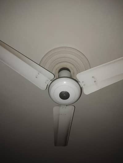 10 piece celling Fan for Sale