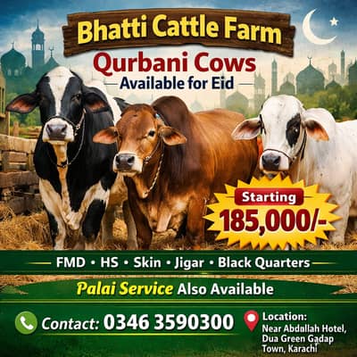 Bhatti Cattle Farm Qurbani Cows Available / Palai Also Available