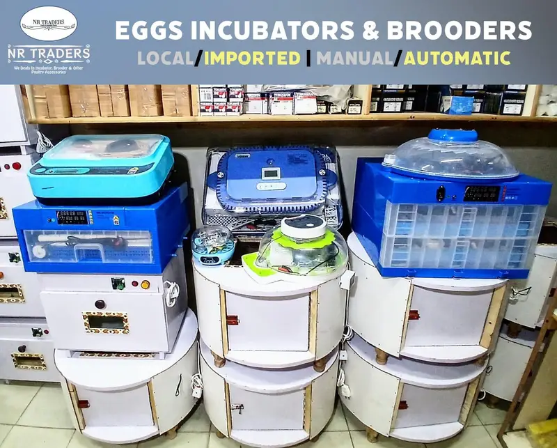 Incubator Brooder Automatic Incubator Parts Automatic Brooder