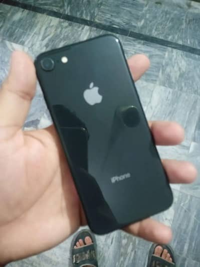 Apple Iphone 8 Pta Approved