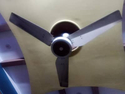 ceiling fans