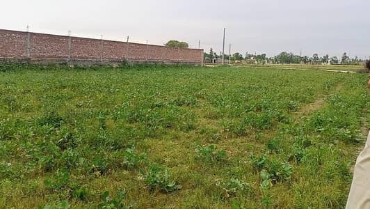 Commercial Plot for Rent near Risalpur Cantt