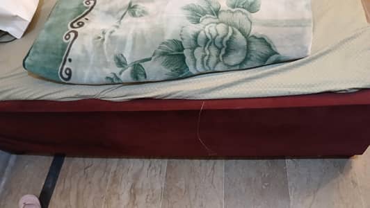 Premium Velvet Queen Size Bed | Excellent Condition