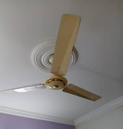 Ceiling Fan for Sale