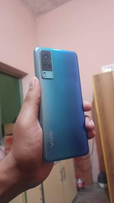 Vivo y31