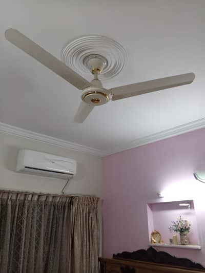 Super Asia Ceiling Fan for Sale