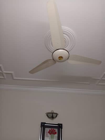 SK Ceiling Fan for sale