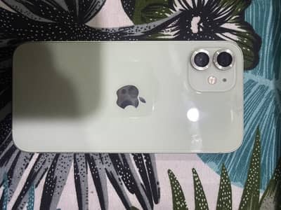 Iphone 12 PTA APPROVED 256gb