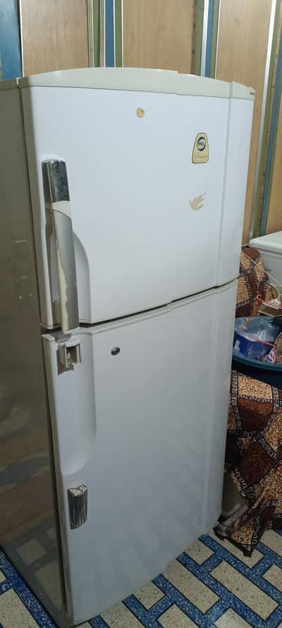 pel fridge full size