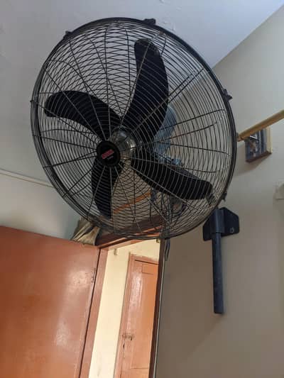 ROYAL FAN 10/10 CONDITION