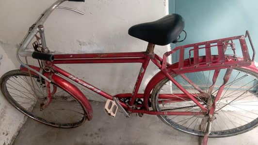 20 Inch Sohrab Cycle