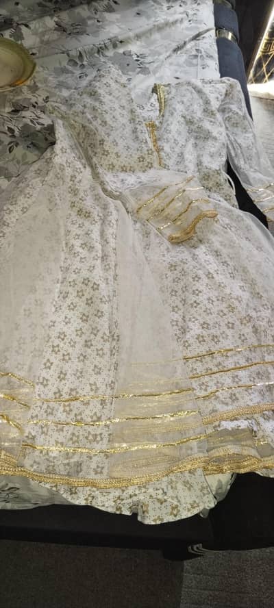 net frok with plazooo