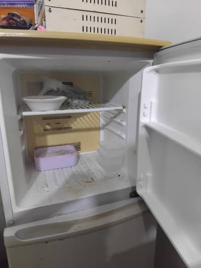 Samsung fridge  03237319447