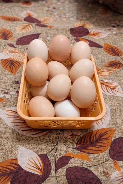 Pure Desi Eggs Ghar ki pali murghio Desi Eggs Availabile