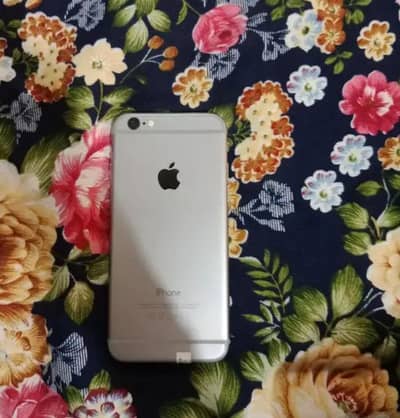 iphone 6 non pta  other sukkur only set
