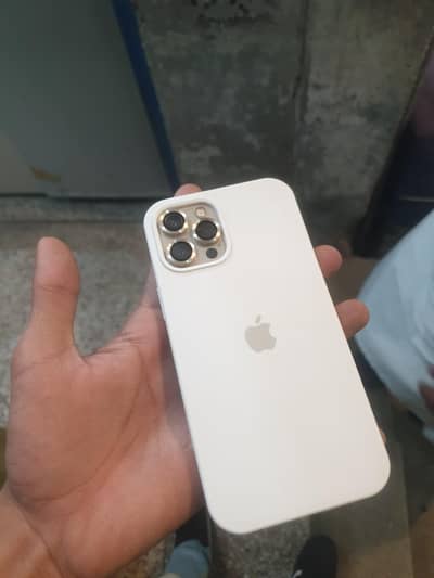 iphone 12 pro max FU