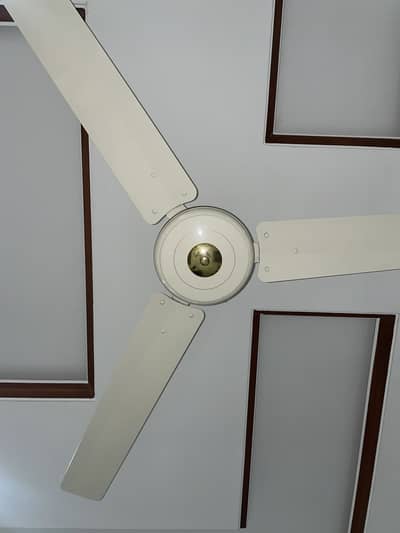 Super Asia Ceiling Fan