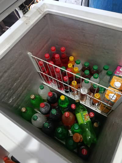 Contact Number 03700818127