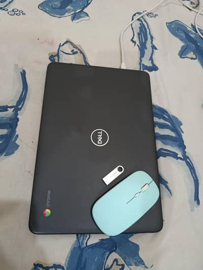 Dell Chromebook 3100