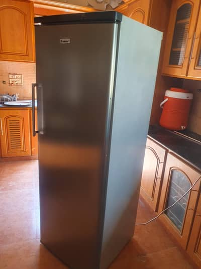 Fridge/100%  working condition