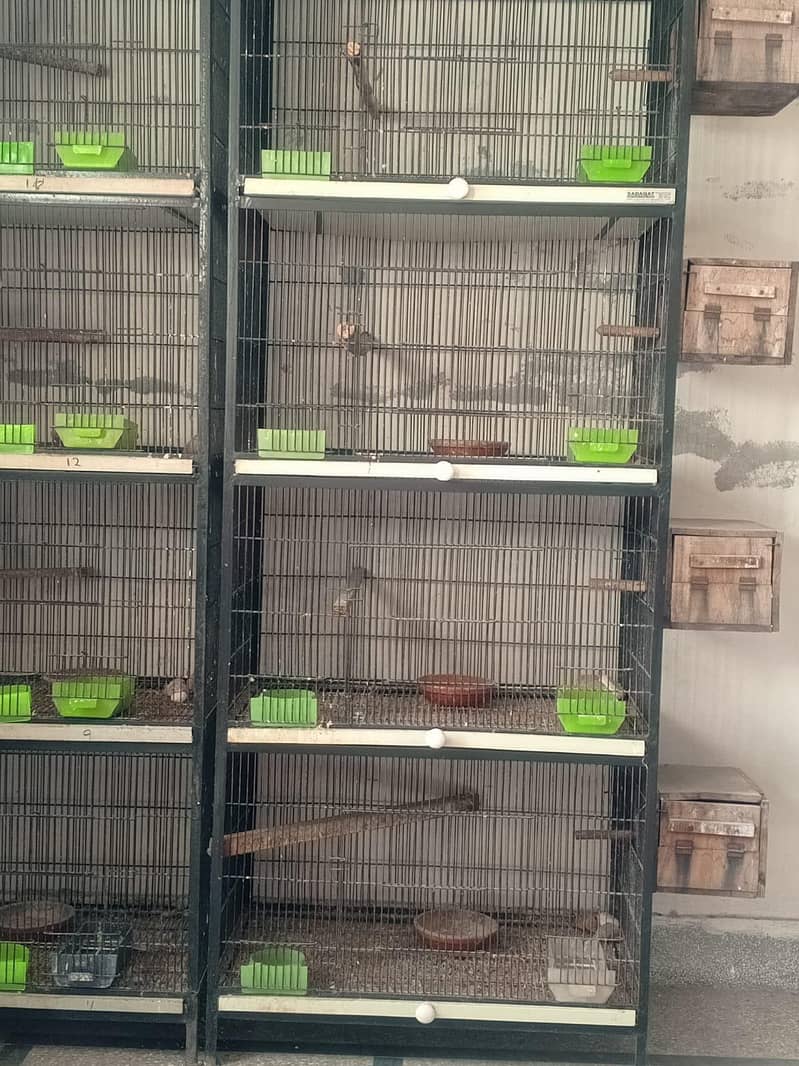 solid strong parrot cages 0