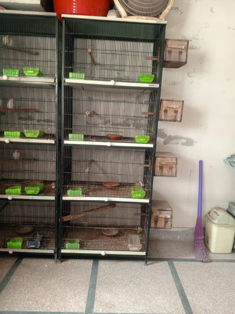 solid strong parrot cages 2