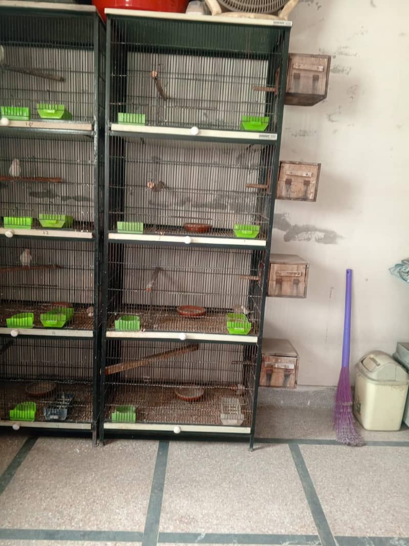 solid strong parrot cages 3