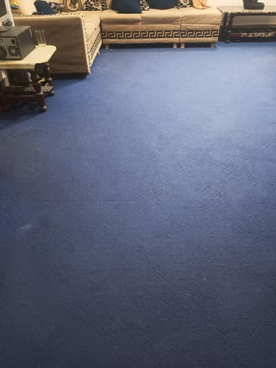 Big size carpet blue