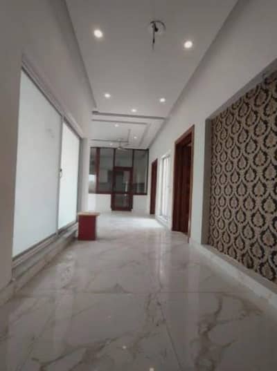 Female Sales staff & Female Assestant