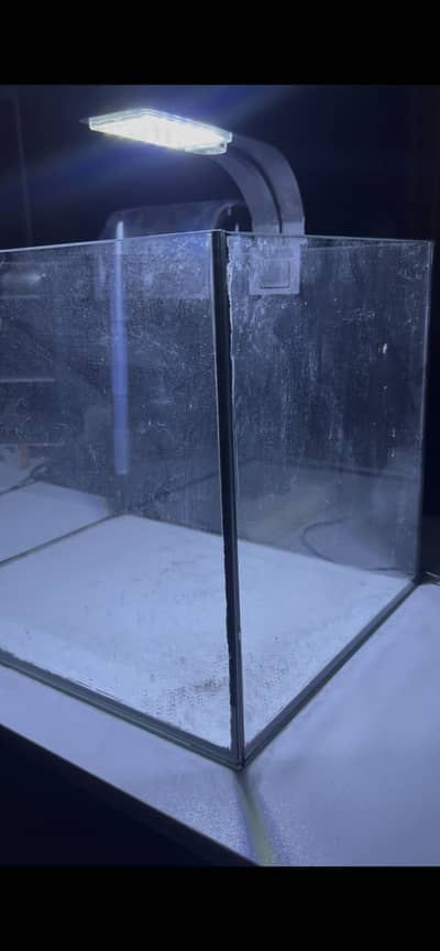 Clear glass aquarium 1.5ft x 1ft with hang on filter & light