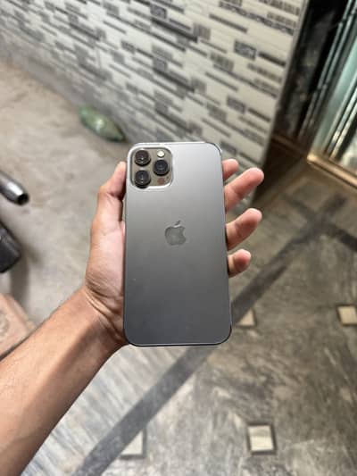 12 pro max dual physical