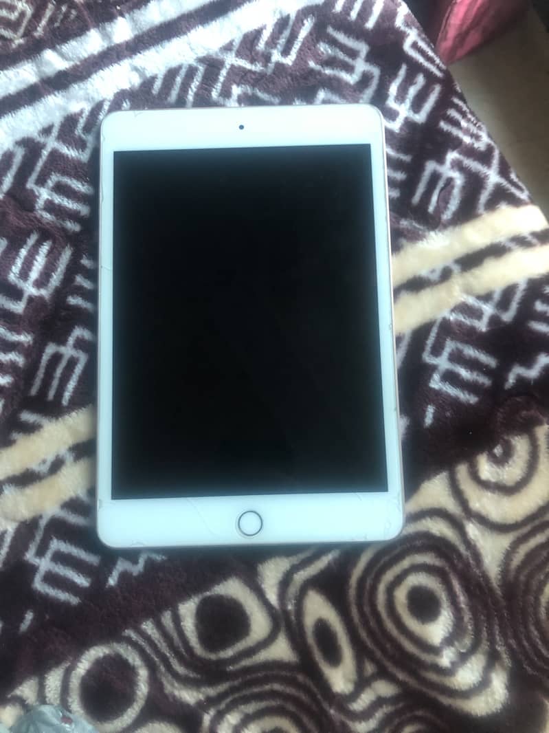 Ipad mini 5 0