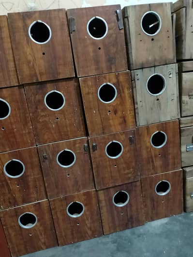 love Birds Boxes and Handya