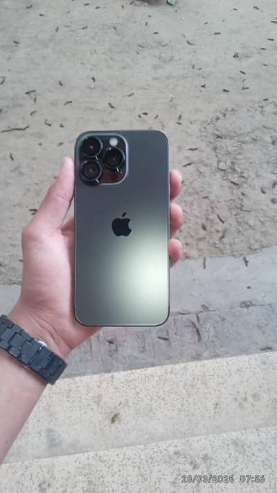 WhatsApp 03288189137