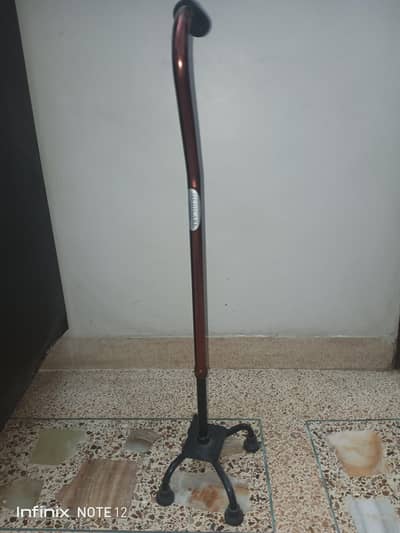 Unused Walking Stick