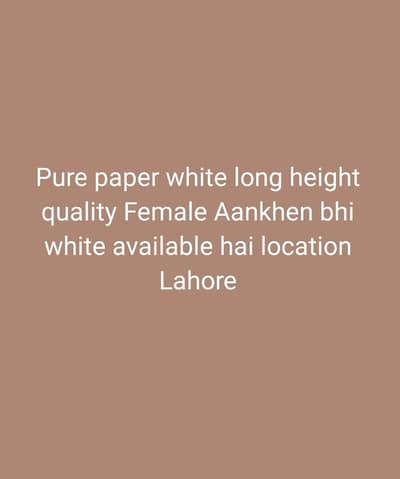 Pure paper white  03211164084